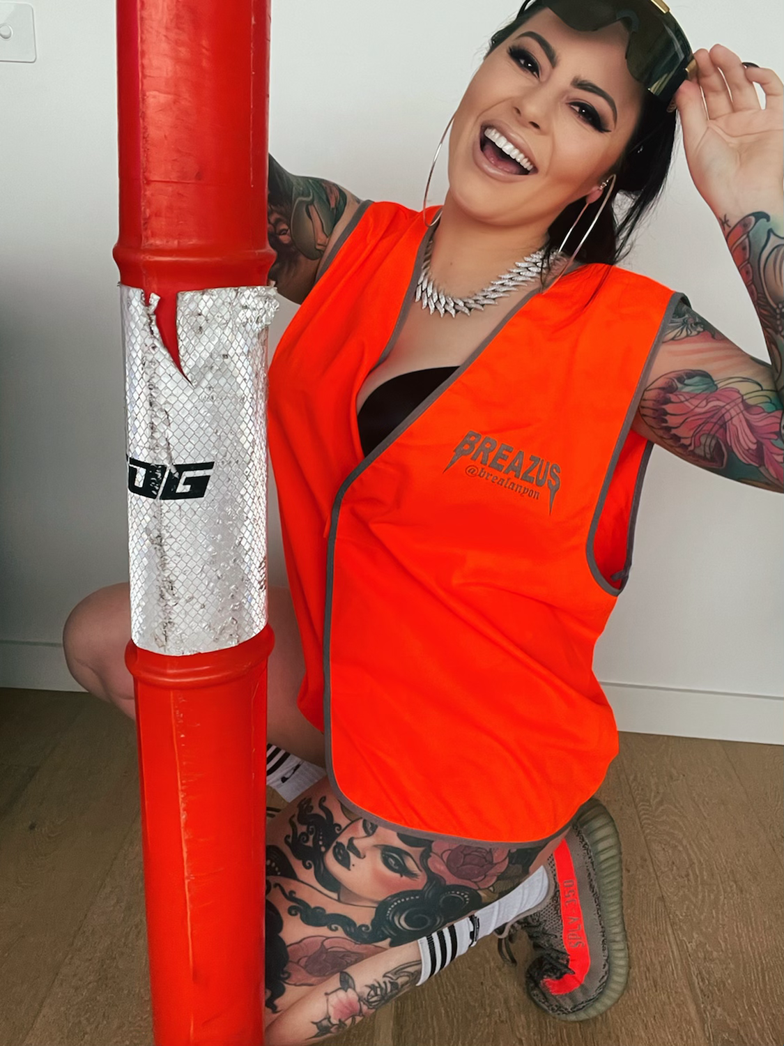 Hi Vis Vest image 1