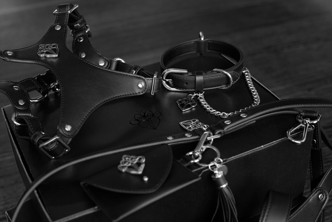 FLEAZUS COUTURE Harness Set image 5